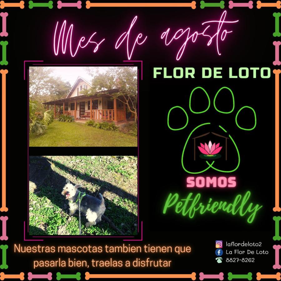 La Flor De Loto Villa Cartago Buitenkant foto