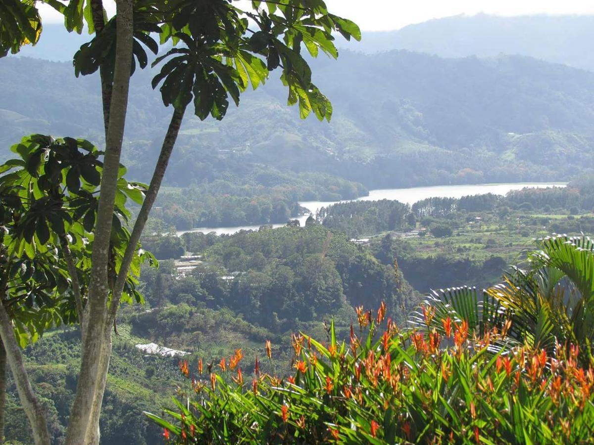 La Flor De Loto Villa Cartago Buitenkant foto